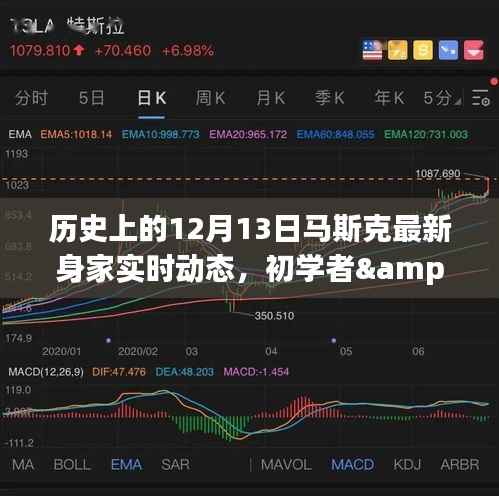 揭秘马斯克最新身家动态,历史上的12月13日追踪详解与初学者进阶指南