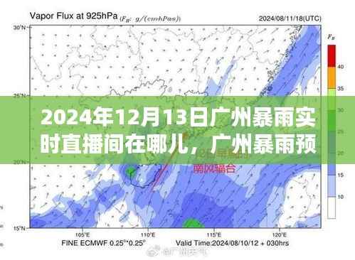 2024年广州暴雨预警及实时直播间观看指南