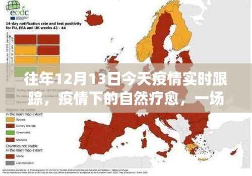 疫情下的自然疗愈之旅,寻找内心的宁静与美景的远离尘嚣旅行
