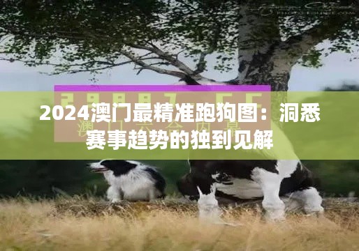 2024澳门最精准跑狗图:洞悉赛事趋势的独到见解