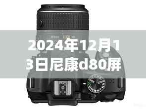 尼康D80相机屏幕实时预览功能详解与技术指南,前沿技术与操作指南(2024年12月版)