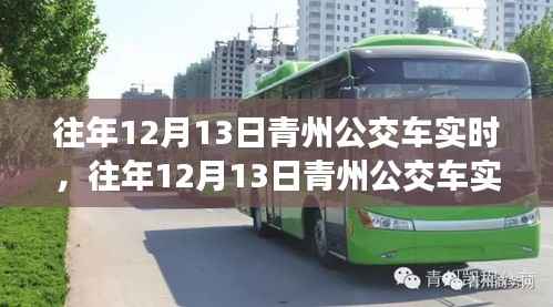 往年12月13日青州公交车实时评测,特性、体验与竞品对比全解析