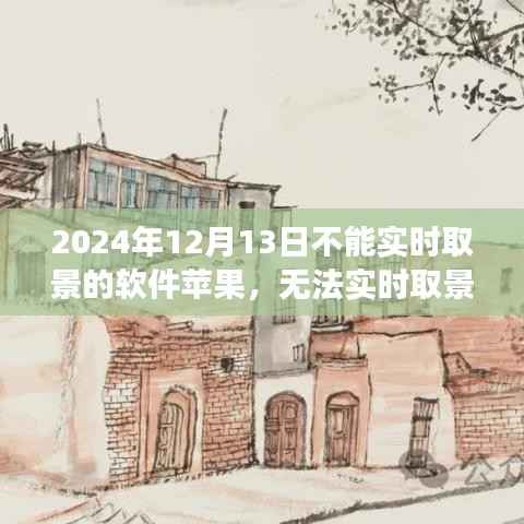 苹果软件无法实时取景背后的温情故事,一个特殊日子的回忆