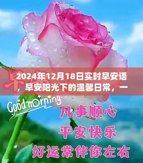 早安阳光下的温馨日常,特别的礼物与珍贵的友情故事,早安问候语 2024年12月18日实时分享