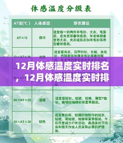 12月体感温度实时排名查询全攻略,从入门到精通的步骤指南