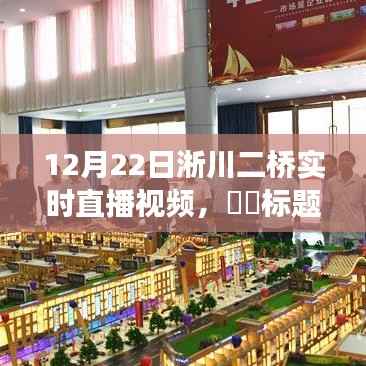 冬日淅川二桥之旅,追寻自然美景与内心宁静的直播之旅