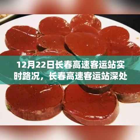 长春高速客运站实时路况与隐藏瑰宝,小巷特色小店的奇遇