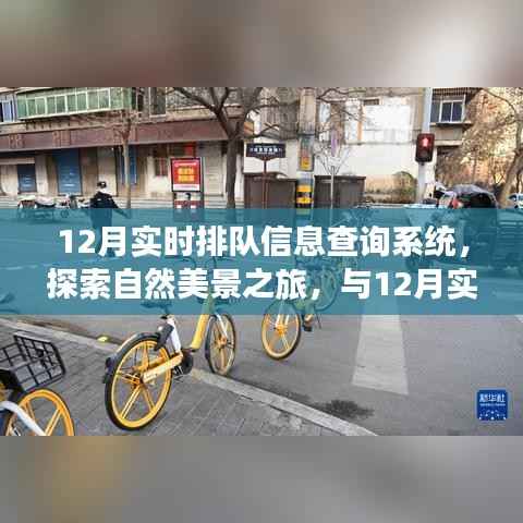 探索自然美景之旅,与实时排队信息查询系统共赴心灵宁静之旅