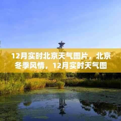 北京冬季风情,实时天气图片分享,带你领略冬季风情