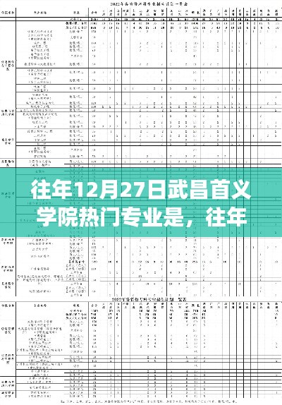 武昌首义学院热门专业深度解读,历年12月27日热门专业概览