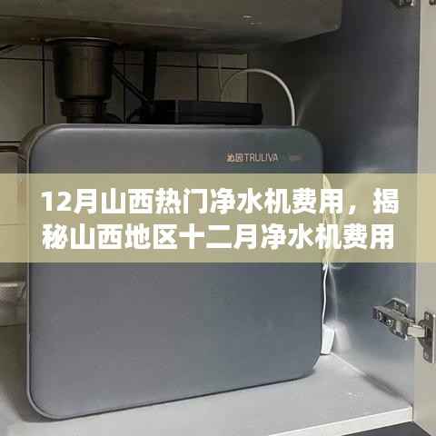 揭秘山西地区十二月净水机费用,选购指南与市场趋势分析