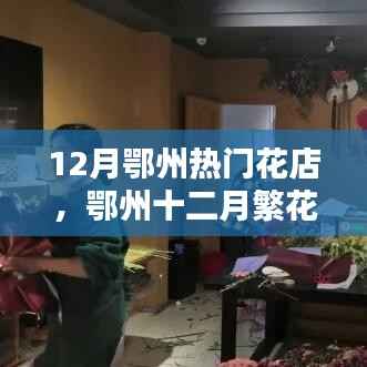 鄂州十二月热门花店探秘,繁花盛宴的绚丽世界