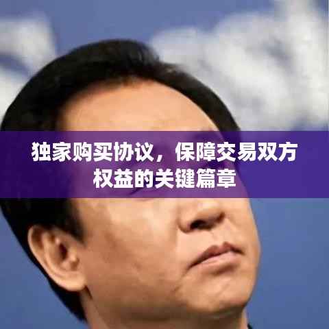 独家购买协议,保障交易双方权益的关键篇章
