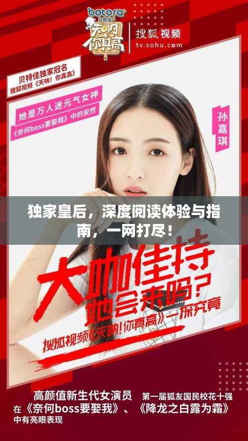 独家皇后,深度阅读体验与指南,一网打尽!