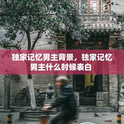 独家记忆男主背景,独家记忆男主什么时候表白