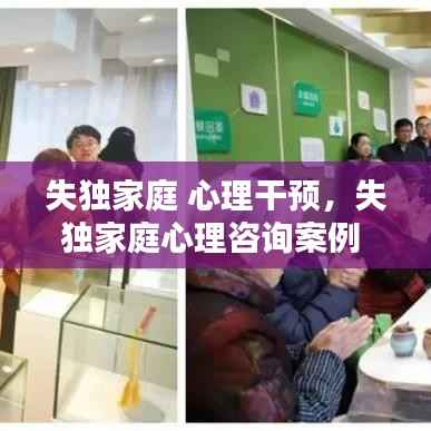 失独家庭 心理干预,失独家庭心理咨询案例
