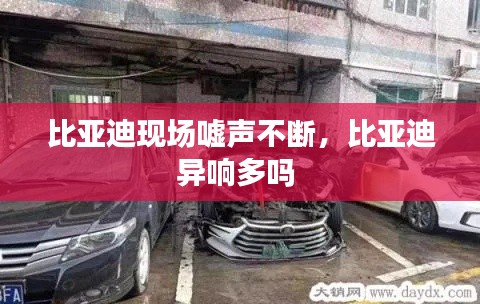 比亚迪现场嘘声不断,比亚迪异响多吗