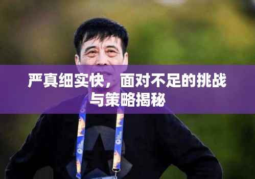 严真细实快,面对不足的挑战与策略揭秘
