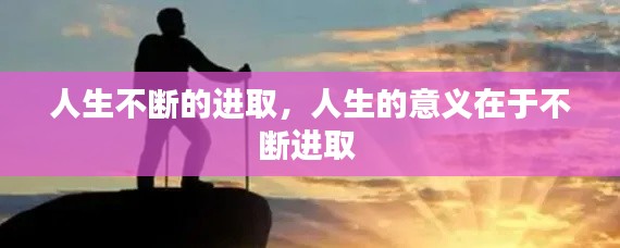 文质彬彬