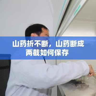 山药折不断,山药断成两截如何保存