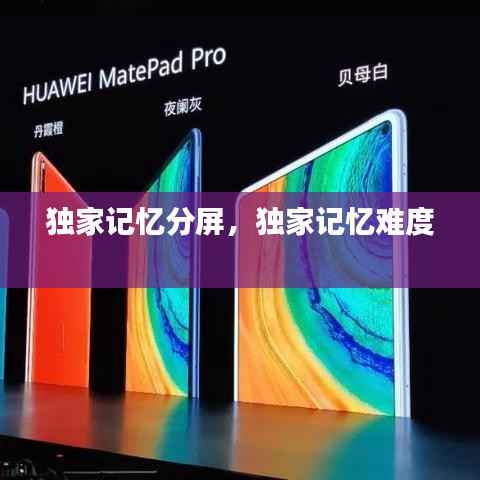 独家记忆分屏,独家记忆难度
