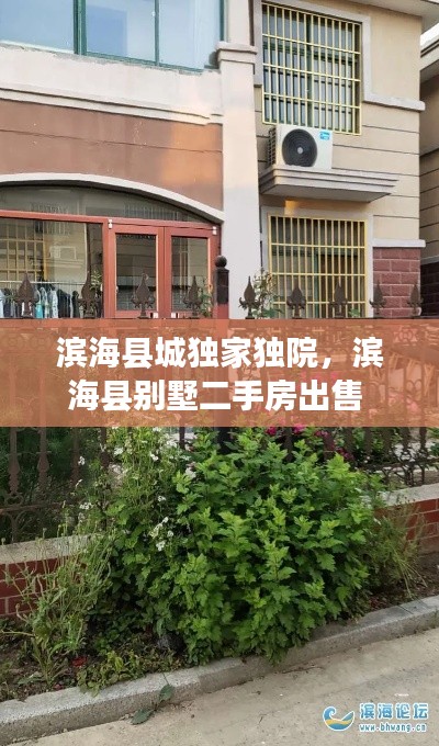 滨海县城独家独院,滨海县别墅二手房出售
