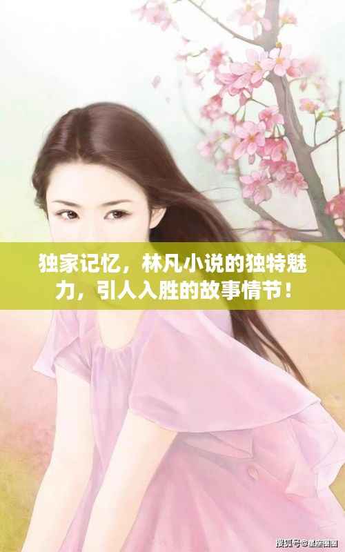 独家记忆,林凡小说的独特魅力,引人入胜的故事情节!
