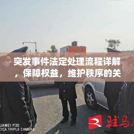突发事件法定处理流程详解,保障权益,维护秩序的关键步骤