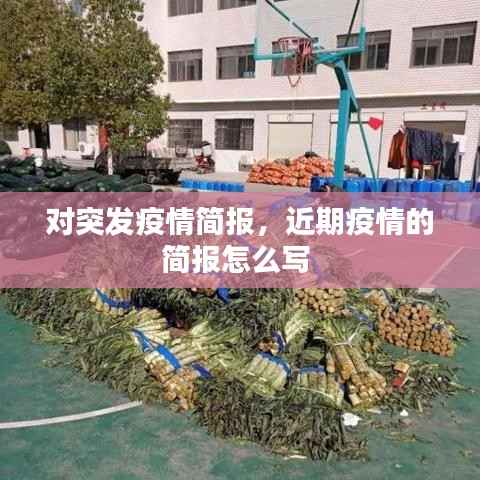 对突发疫情简报,近期疫情的简报怎么写
