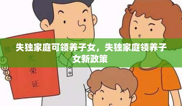 失独家庭可领养子女,失独家庭领养子女新政策