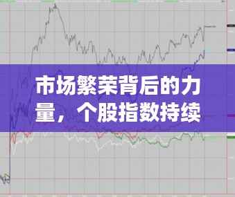 市场繁荣背后的力量,个股指数持续创新高驱动力解析