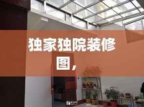 独家独院装修图,
