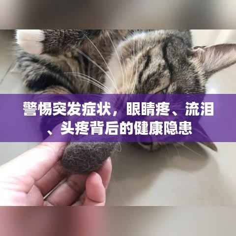 警惕突发症状,眼睛疼、流泪、头疼背后的健康隐患