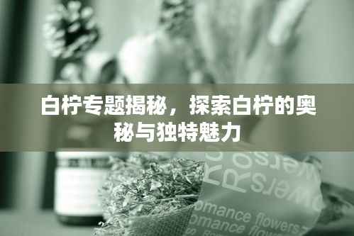 白柠专题揭秘,探索白柠的奥秘与独特魅力
