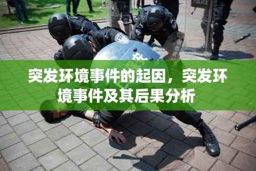 突发环境事件的起因,突发环境事件及其后果分析