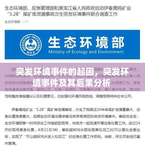 突发环境事件的起因,突发环境事件及其后果分析