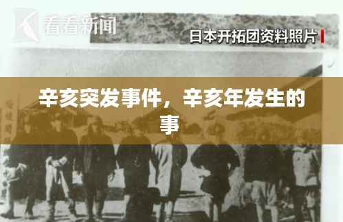 辛亥突发事件,辛亥年发生的事