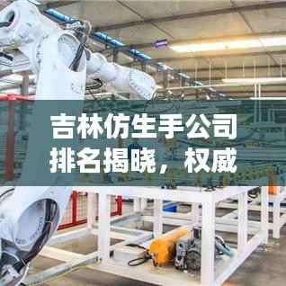 吉林仿生手公司排名揭晓,权威榜单揭秘行业领先企业!