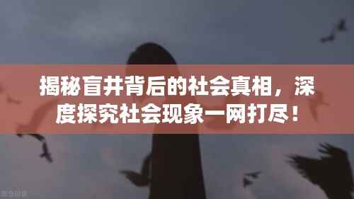 揭秘盲井背后的社会真相,深度探究社会现象一网打尽!