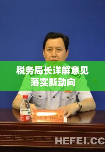 税务局长详解意见落实新动向