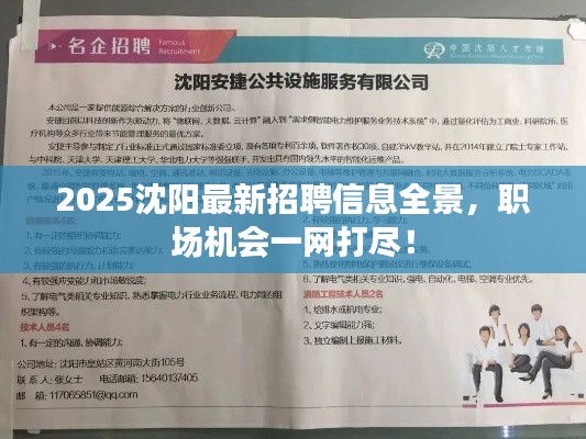 2025沈阳最新招聘信息全景,职场机会一网打尽!