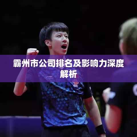 霸州市公司排名及影响力深度解析