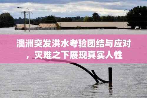 澳洲突发洪水考验团结与应对,灾难之下展现真实人性