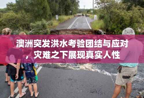 澳洲突发洪水考验团结与应对,灾难之下展现真实人性