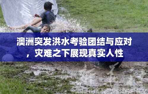 澳洲突发洪水考验团结与应对,灾难之下展现真实人性