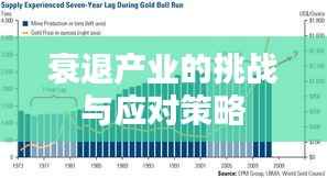 衰退产业的挑战与应对策略