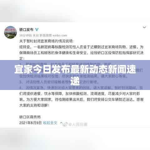 宜家今日发布最新动态新闻速递