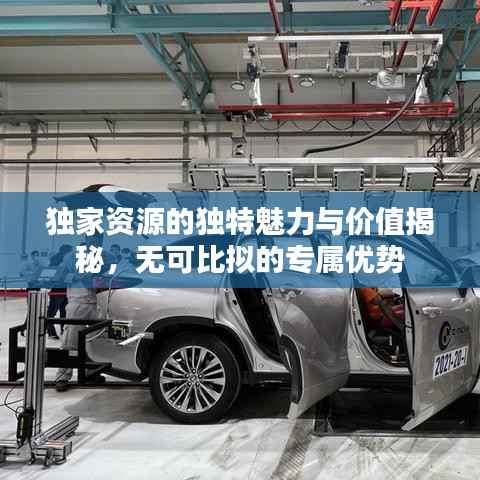 独家资源的独特魅力与价值揭秘,无可比拟的专属优势