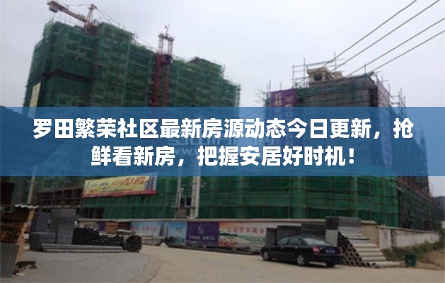 罗田繁荣社区最新房源动态今日更新,抢鲜看新房,把握安居好时机!