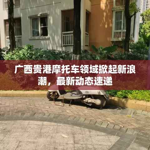 广西贵港摩托车领域掀起新浪潮,最新动态速递